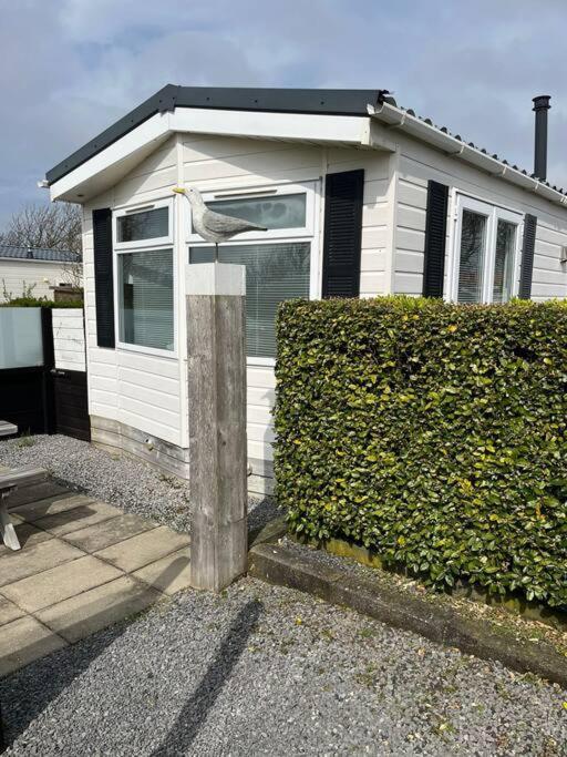 Chalet + Tiny House Nabij Strand Petten Exterior photo
