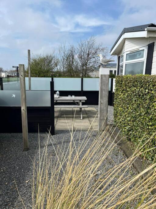 Chalet + Tiny House Nabij Strand Petten Exterior photo