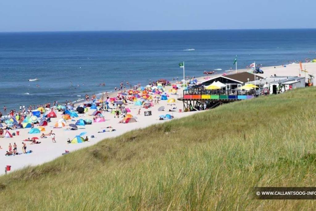 Chalet + Tiny House Nabij Strand Petten Exterior photo